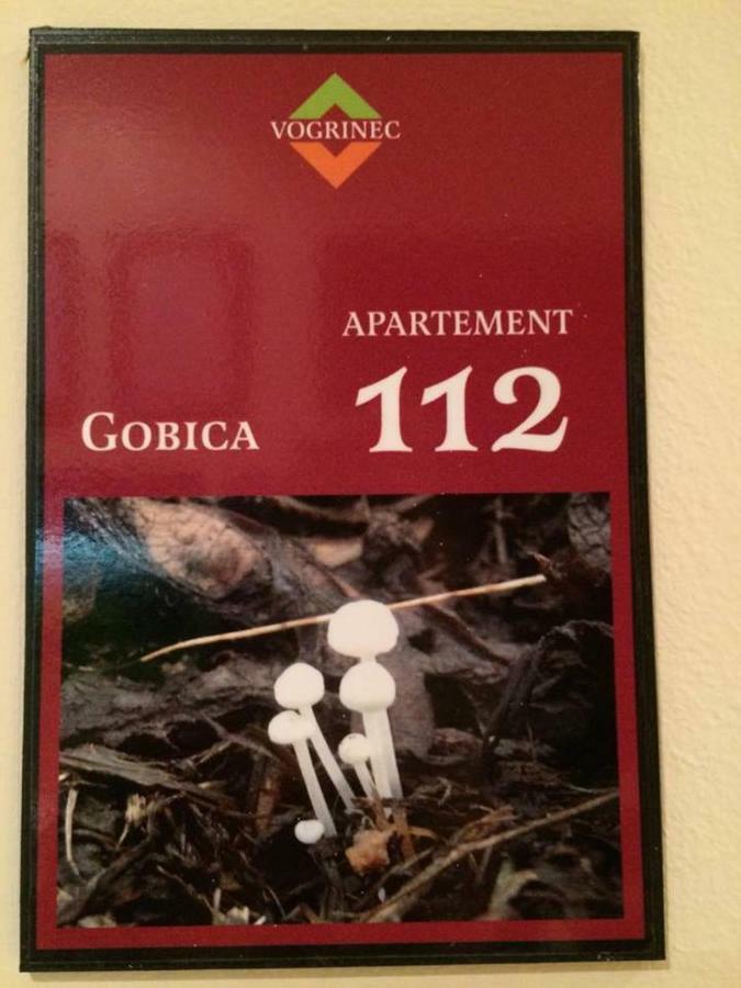 Apartments-Rooms Vogrinec Ptuj Dış mekan fotoğraf
